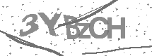 visual captcha